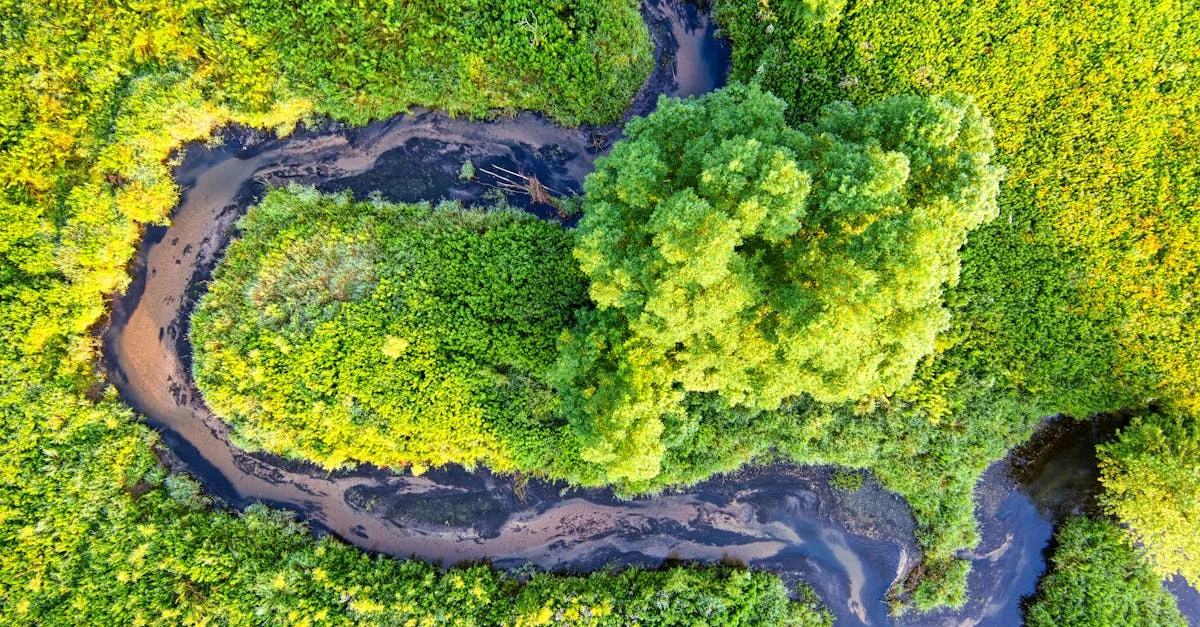 découvrez les régulations environnementales visant à protéger la nature et promouvoir un développement durable respectueux de l'environnement.