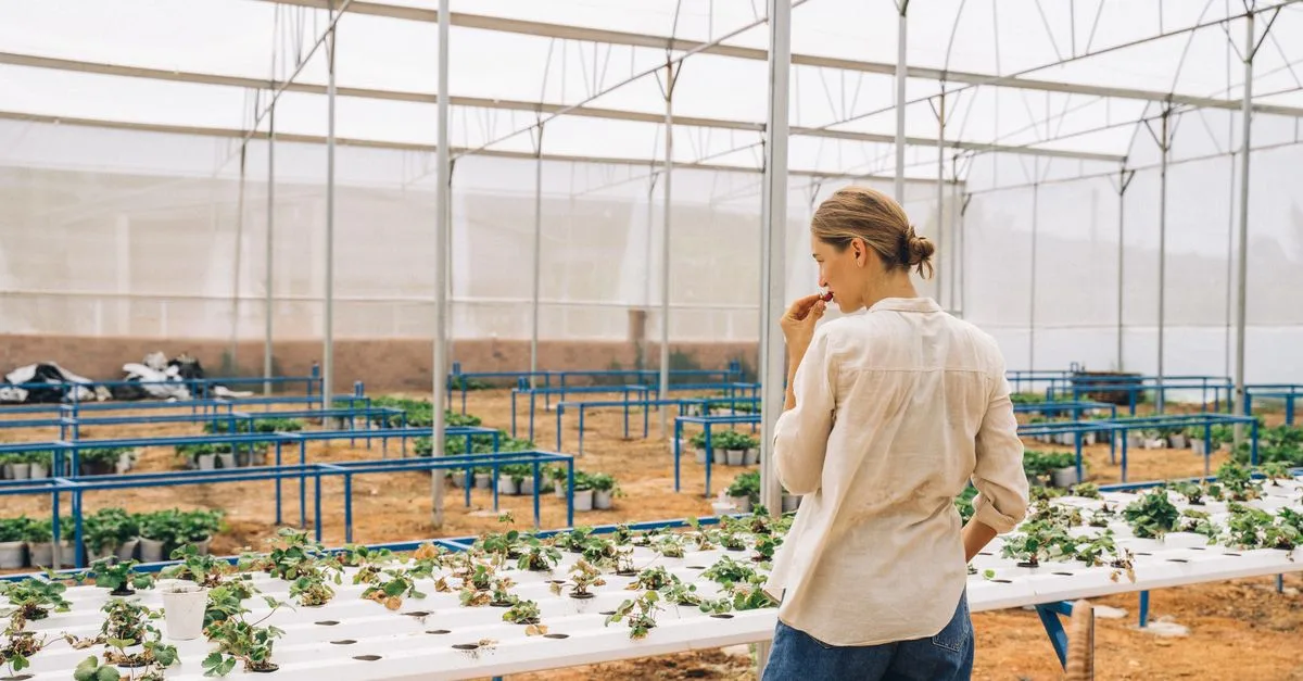 découvrez les pratiques agricoles durables qui respectent l'environnement, préservent les ressources naturelles et favorisent une production alimentaire responsable pour les générations futures.