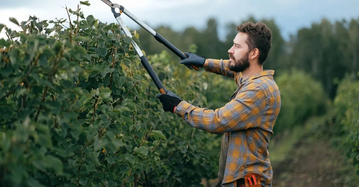 découvrez nos conseils experts pour la taille de jardin afin de favoriser la croissance saine de vos plantes et embellir votre espace extérieur.